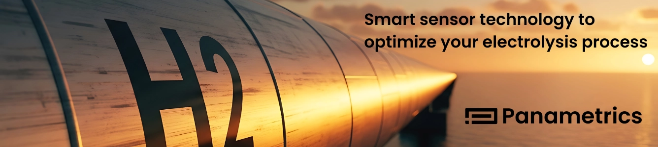 Panametrics banner
