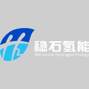 Shenzhen Wenshi Hydrogen Energy Ltd. logo