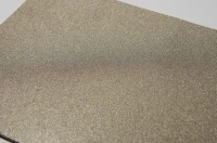 Ni PTL für AEM Elektrolyseur