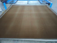 Anode Electrode-Hilysis® - 1 m²