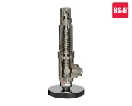 Safety Relief Valve 5100 Series